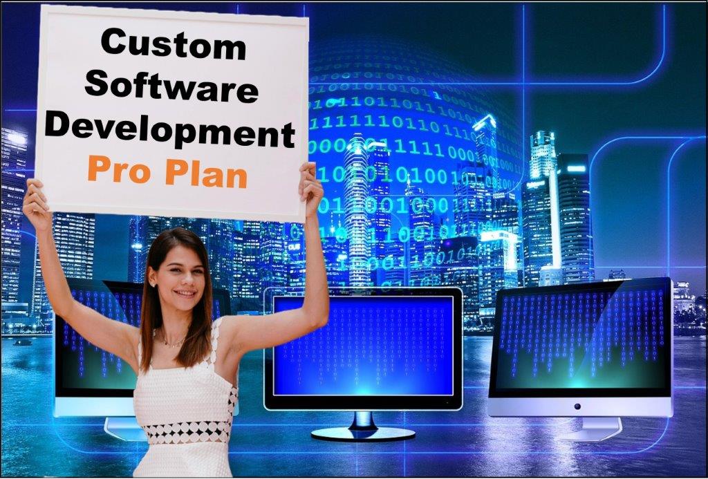 custom software development agency in Dover Delaware