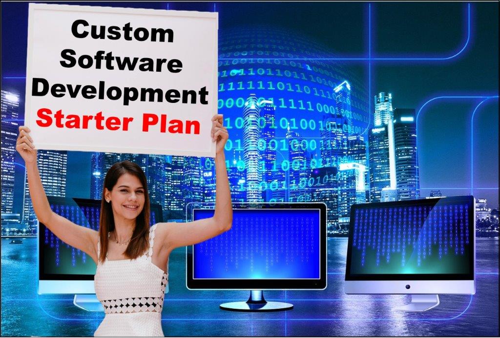 Custom Software Development in Dover Delaware