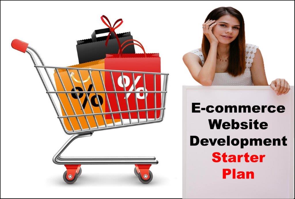 E-Commerce Website Development in Dover Delaware