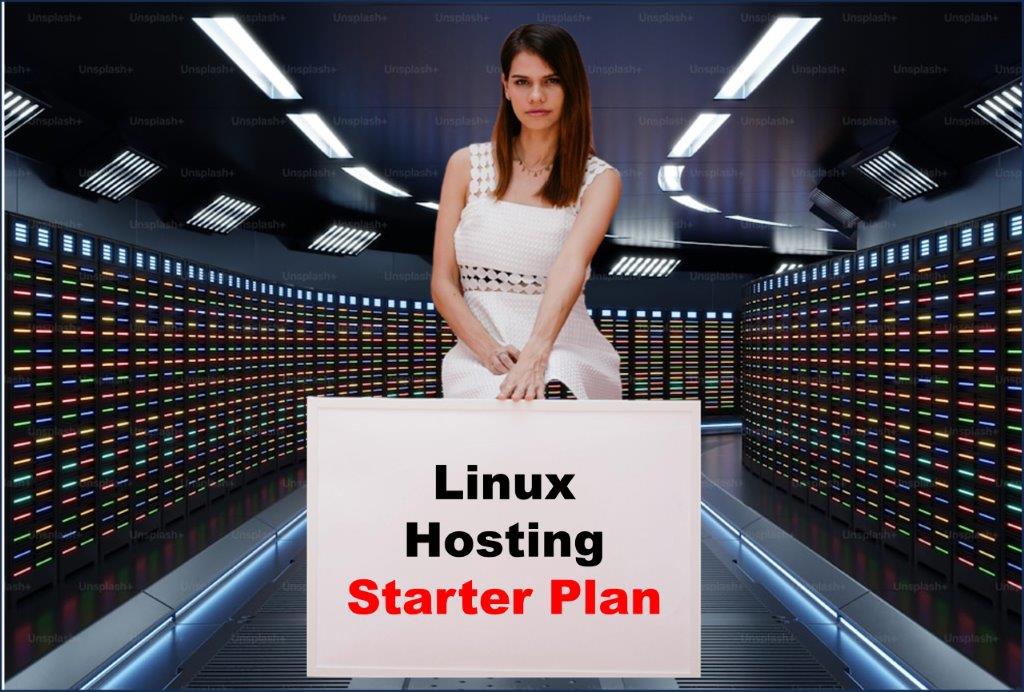 Website Hosting in Dover Delaware