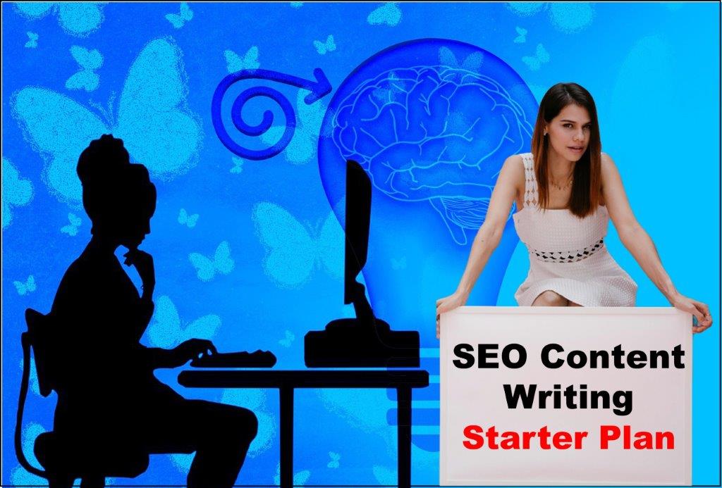 seo content writing service provider in Dover Delaware