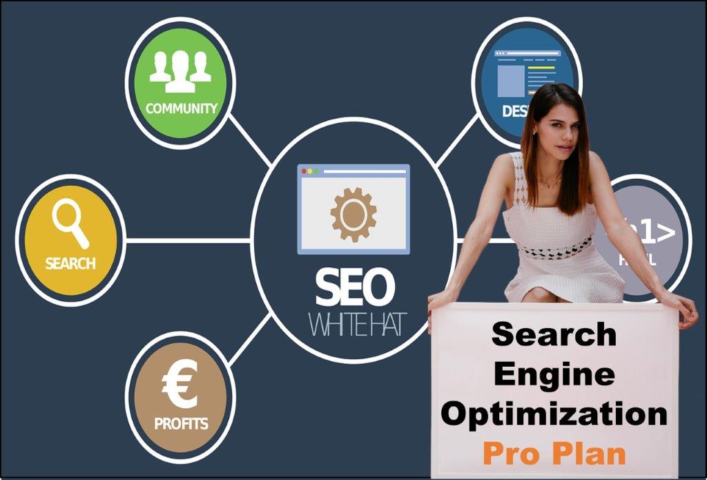 seo company Dover Delaware
