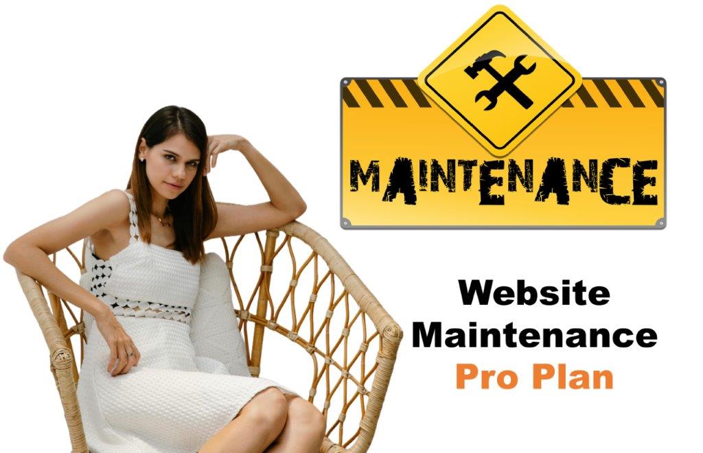 website maintenance agency in Dover Delaware