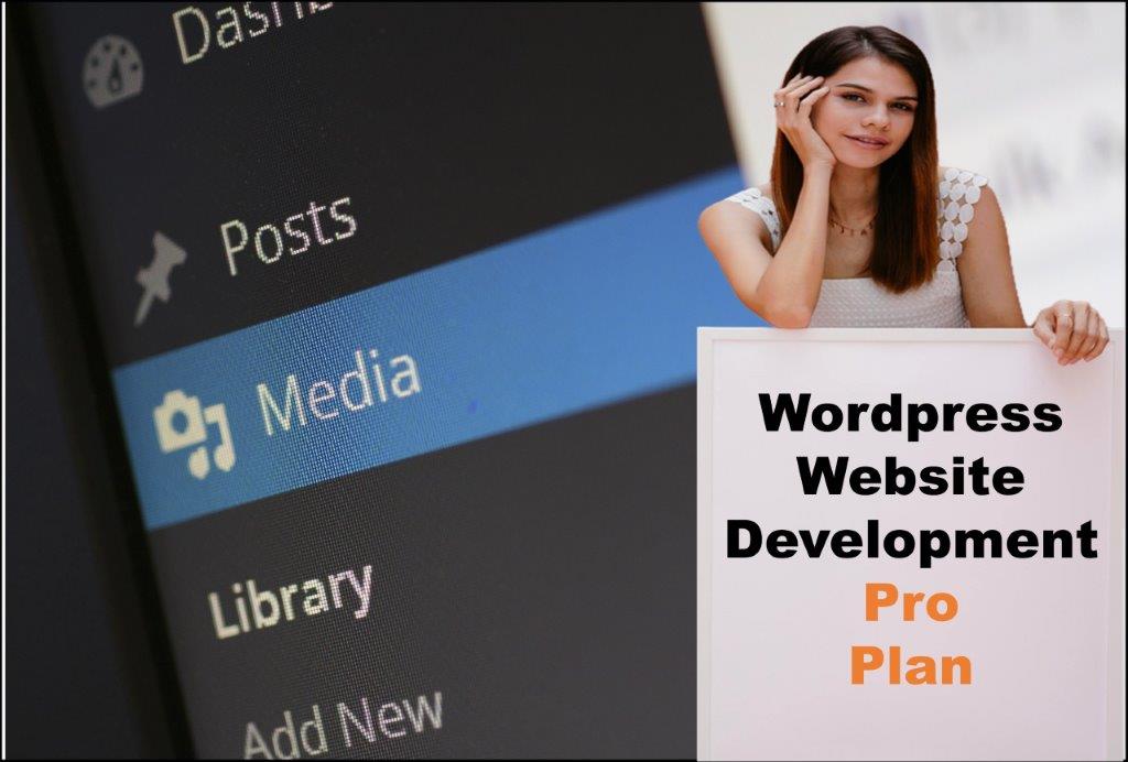 wordpress website designing in Dover Delaware