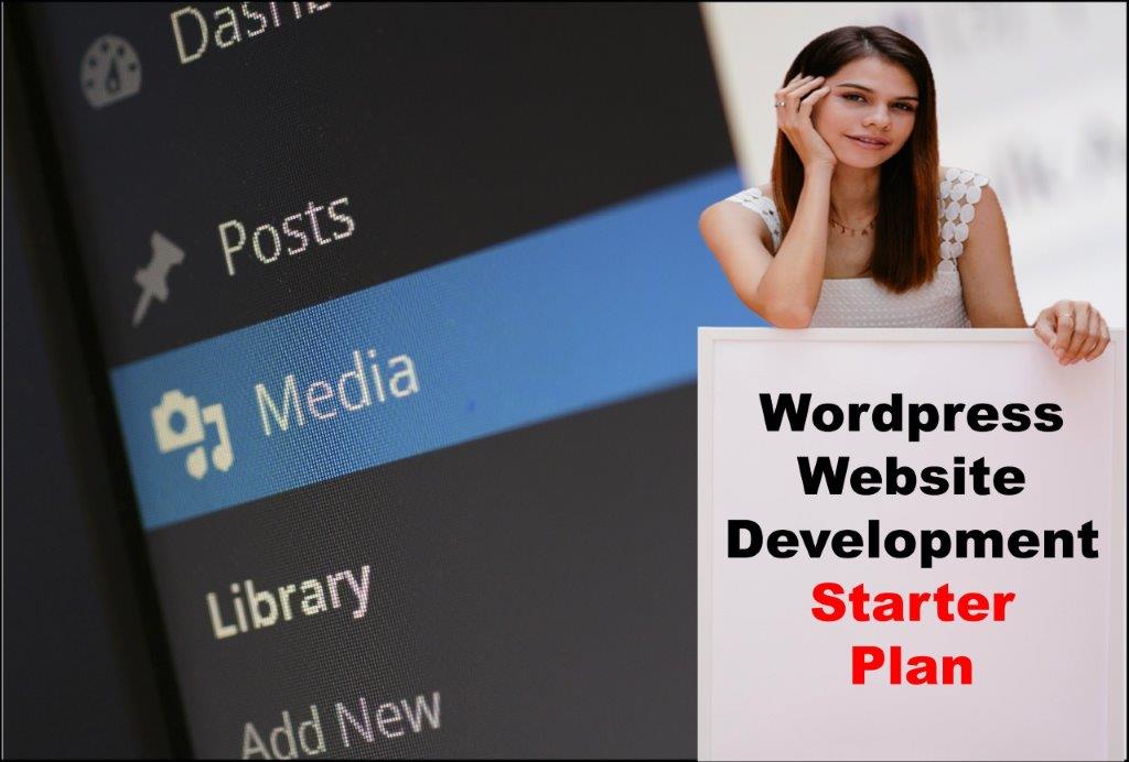 Wordpress Website Development in Dover Delaware